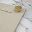 Polished Brass Disc Knobs-128905919