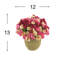 Ranunculus Arrangement in Strawgrass Pot