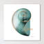 Shinny Calm Snail - Wrapped Canvas Print-395600409