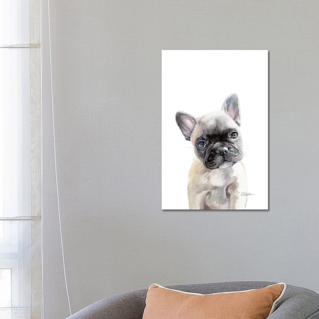 French Bulldog Puppy PC3