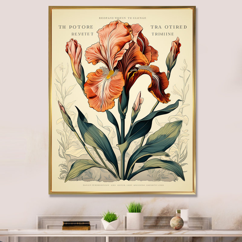 Iris rouge, illustration rétro sur toile, H 32 po x l 16 po, Cadre photo blanc