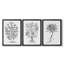 Toile encadrée de qualité supérieure B&W Plant Spechantillon I - prête à être accrochée-69981803-69981805
