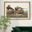 «Long Tailed Duck», reproduction sur toile encadrée-283503475-283503469