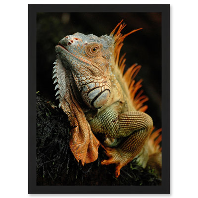 Single Picture Frame Print