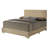 Upholstered Low Profile Standard Bed-89169825-89169826