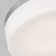 Helmes Glass LED Flush Mount