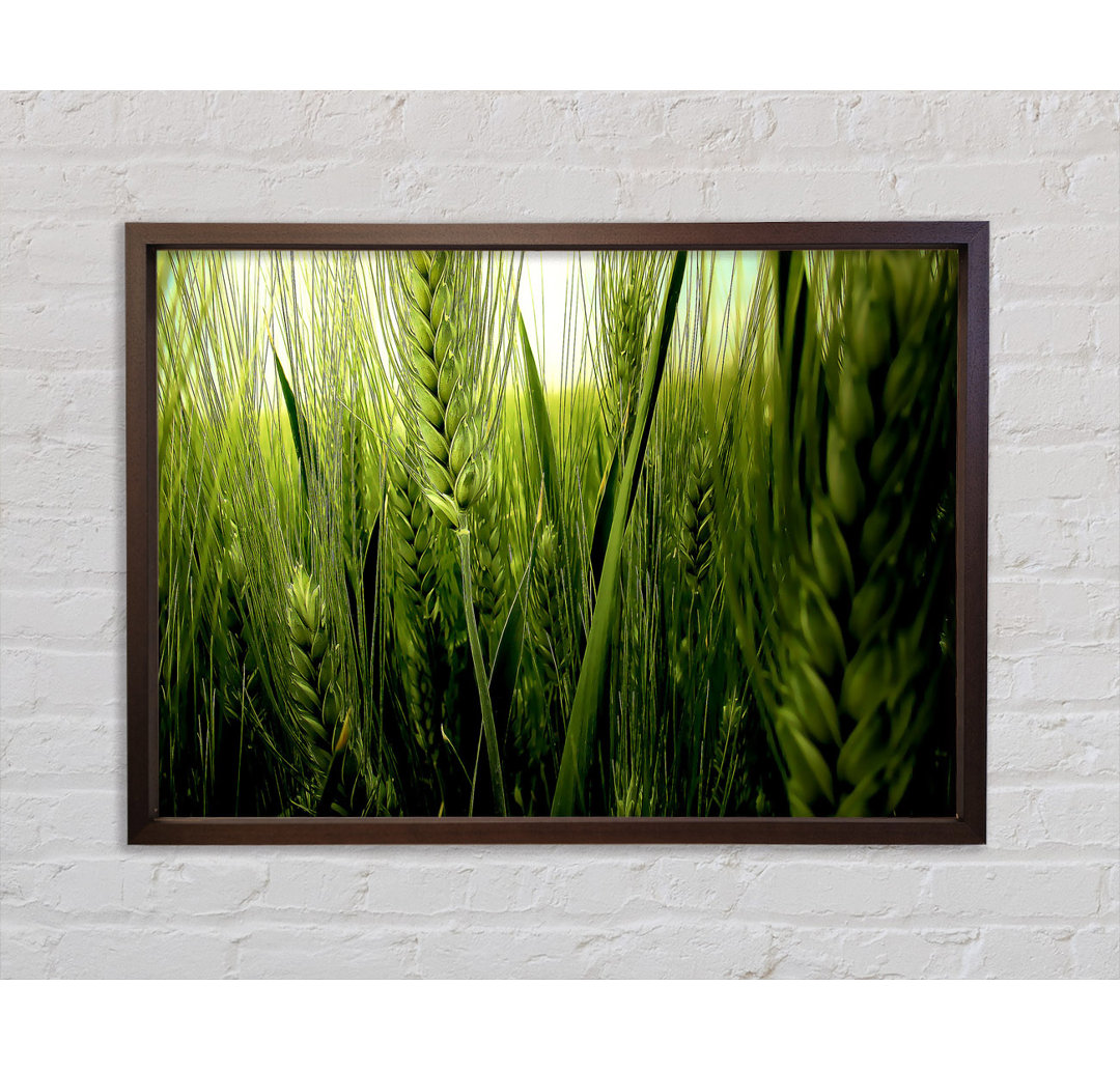 Life Below The Reeds - Einzelbildrahmen Kunstdrucke auf Leinwand