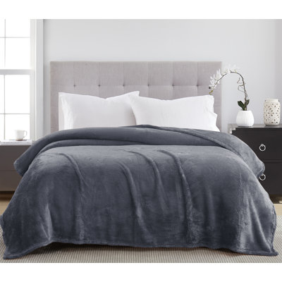 Vanessa Teddy Plush Blanket