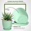 Pots à plantes d'intérieur avec drainage-1952380640