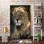 «Cape Lion», reproduction de photo-31935601-31475662
