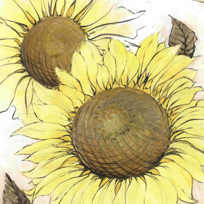" Sketch Sunflowers "