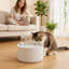 Pet Water Fountain