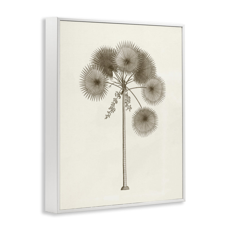 Étude rétro de palmier, estampe numérique, conception par Phillipa Katz, H 30 po x l 24 po, Giclée encadrée blanc bord de mer