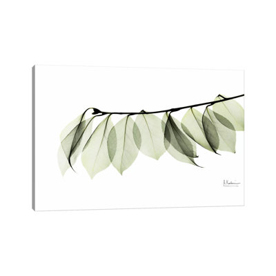 Camelia Leaf In White by Albert Koetsier - Wrapped Canvas Painting