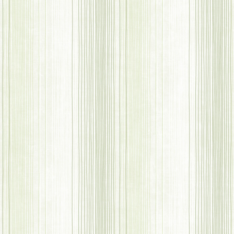 Dwayne-James 10m x 52.8cm Matte Wallpaper Roll, Green
