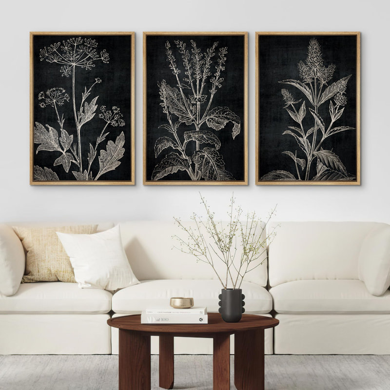"Croquis botaniques noir et blanc, plantes élégantes, illustrations, art moderne, salon", 3 pièces, Naturel