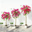 Artificial Bougainvillea Tree with Wooden Trunk, Pink Flowers for Home & Weddings-1749395113