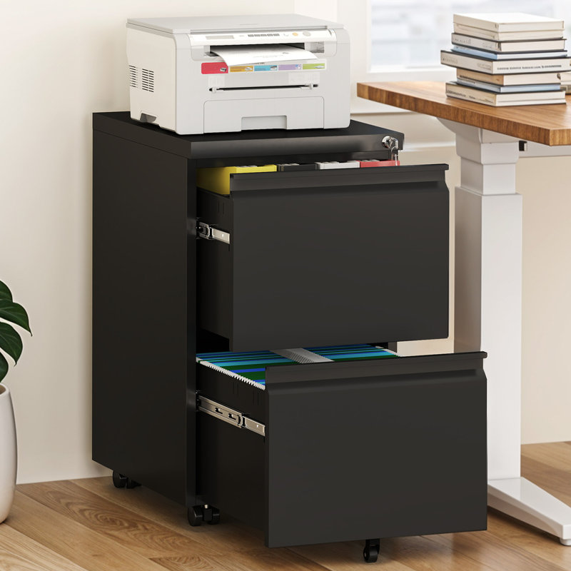 39cm Wide 2 -Drawer Mobile Steel File Cabinet, Black