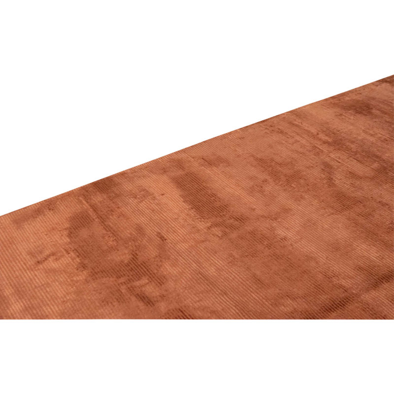 Hand Knotted Wool Area Rug in Rust