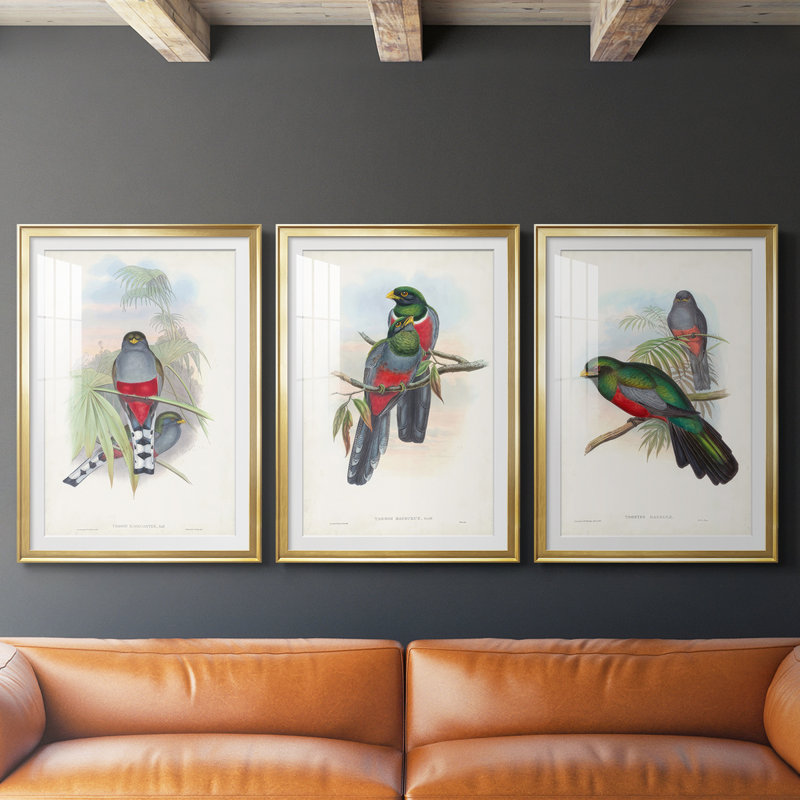 Gould Tropical Birds IV - reproduction encadrée sur mesure de qualité supérieure mate - 3 pièces, H 15 po x l 19 po, Doré