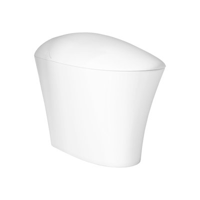 Toilette de bidet intégrée iWASH CS-22 (comprend le siège et la cuvette)