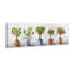 « photo lot de plantes »-impression sur toile tendue-1013453253