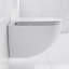 Ensemble de toilette à fixation murale avec plaque de chasse 0,8 / 1,6 GPF St. Tropez-108927942