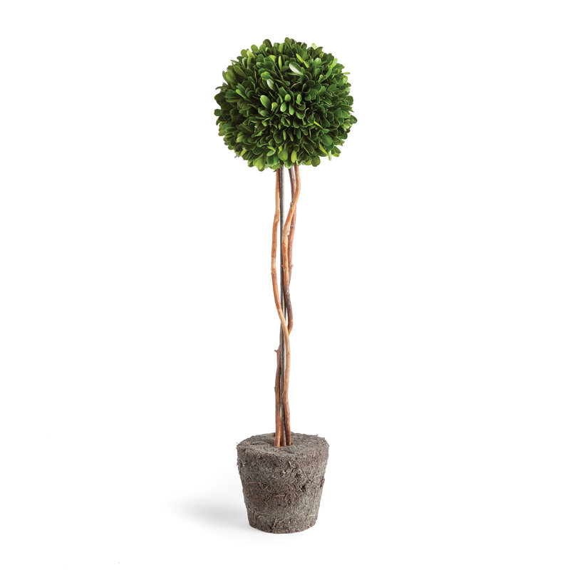 Alby Faux Boxwood Topiary in Planter, 24" H x 6.5" W x 6.5" D