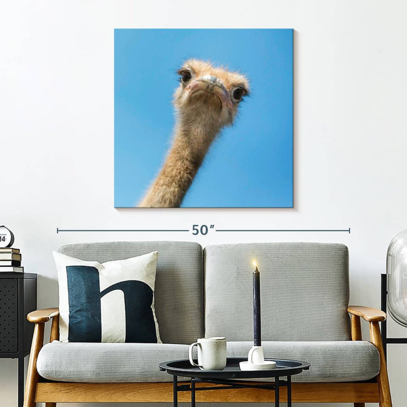 Crowle Curious Ostrich, 30" H x 30" W