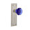 Poignée de porte mortaise intérieure en cristal de cobalt avec plaque longue new york Waldorf