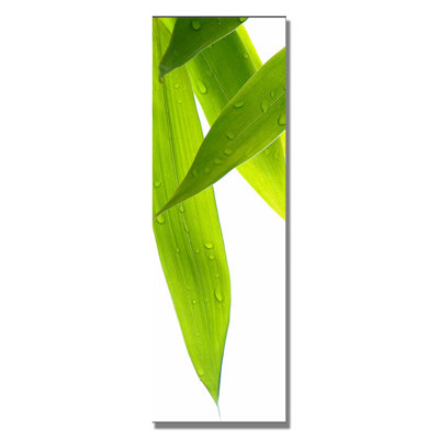 "life is green" par philippe sainte-laudy,, reproduction de photo sur toile tendue encadrée