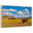 Floating Frame Natural Wood
