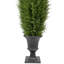 5'' Artificial Cedar Pine Arborvitae Tree In Urn Style Pot  Unlit