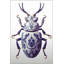 Tapis bleu lavable à la machine-591748943