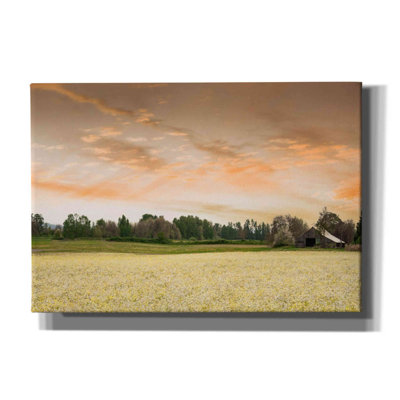 «Barn In The Field Of Spring Flowers» par Don Schwartz, estampe numérique sur toile