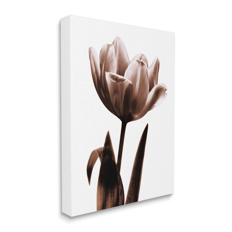 Photographie de tulipe moderne sur fond blanc par Caroline Kelly, H 20 po x l 16 po x P 1,5 po, Giclée encadrée noir minuit