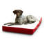 Lit orthopédique pour chien Lind Stockholm-1962743111-1930434864