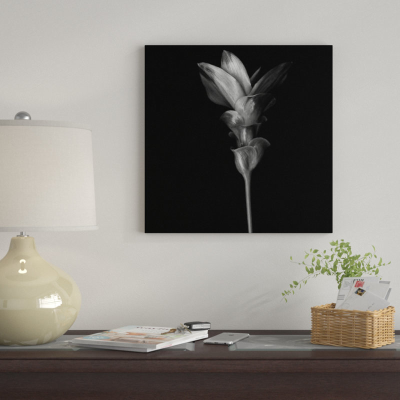 « curcuma iii, b&w » par magda indigo, impression sur toile, H 48 po x l 48 po x P 1,5 po, Toile tendue, Pas de tapis