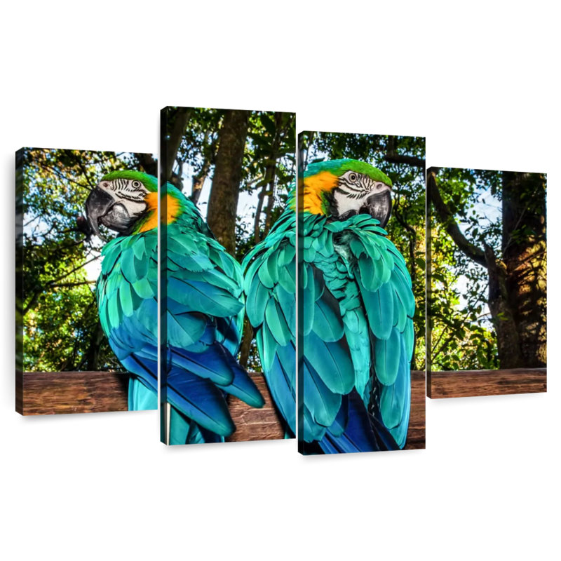 Brampt Macaw Parrots, 32" H x 52" W