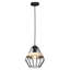 Denair 1 - Light Black Lantern Pendant