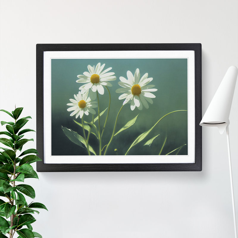 Cosmopolitan Daisy Flowers - Framed Print, Black Framed, 46cm H x 64cm W x 2cm D