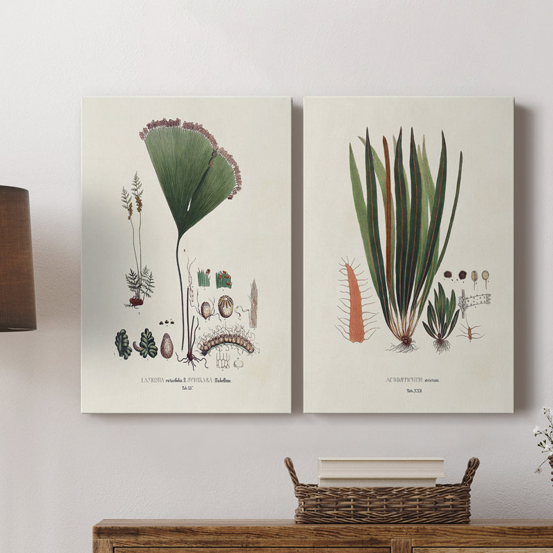 Bannière de la Botanical Society - Toile tendue avec châssis de qualité supérieure - Prêt à être accroché, H 60 po x l 80 po
