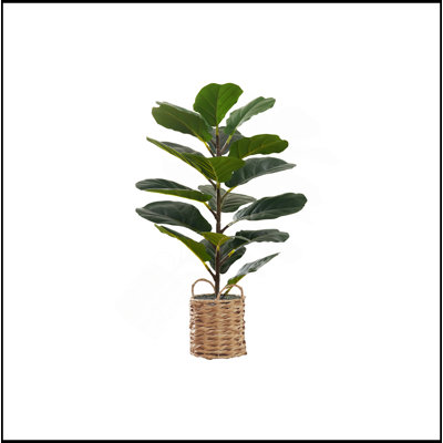Plante artificielle, 28 po de hauteur, arbre violon, intérieur, faux, faux, plancher, verdure, pot, touche réelle, décoratif, feuilles vertes, panier tissé beige