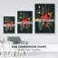 Bright Night Night Collection B-218693312-218693315