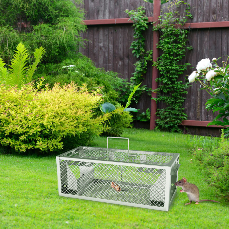11.81x5.63x4.45In 2-Door Humane Rat Trap Automatic Continuous Mouse Trap