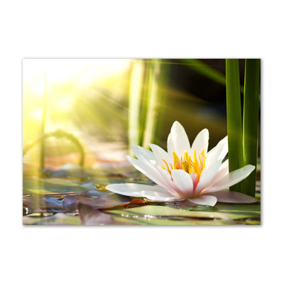 Water Lily - Wrapped Canvas Print