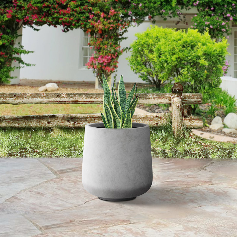 Pot à fleurs en béton Laihla, H 17,3 po x l 16,5 po x P 16,5 po, Gris foncé