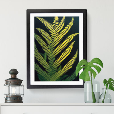 Bylnice Fern Leaf View - Single Picture Frame Print