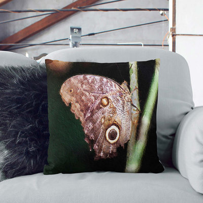 Square Cushion