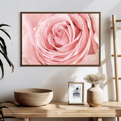 Fresh Pink Rose